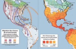 Infographics + Maps: Various Conservation Organizations