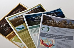 Print Collateral: Various Businesses + Organizations