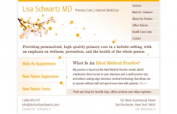 Logo + Website + Blog + Collateral: Dr. Lisa Schwartz Medical Practice