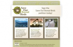 Logo + Website + Promotional Materials: Save Our Boreal Birds Campaign