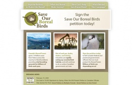 Logo + Website + Promotional Materials: Save Our Boreal Birds Campaign Logo + Website + Promotional Materials: Save Our Boreal Birds Campaign