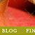 icon-SSF-web.jpg